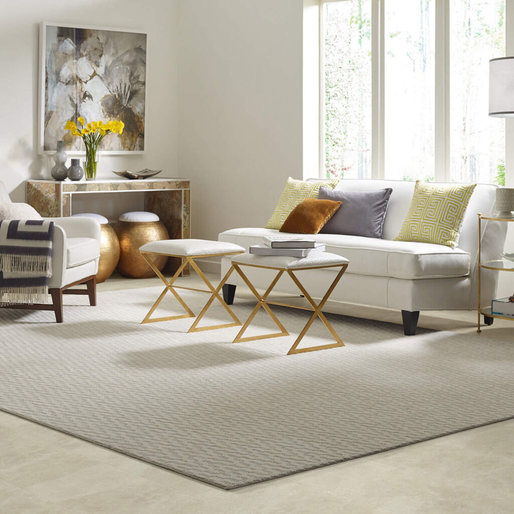 Living Room Area Rug | Flooring and More