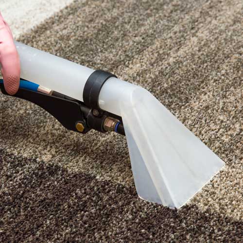 Carpet Cleaning | Flooring and More