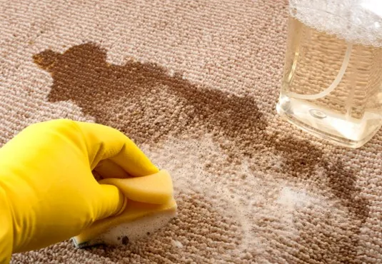 Carpet Care & Maintenance | Flooring And More