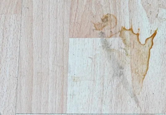 Laminate Stain | Flooring And More